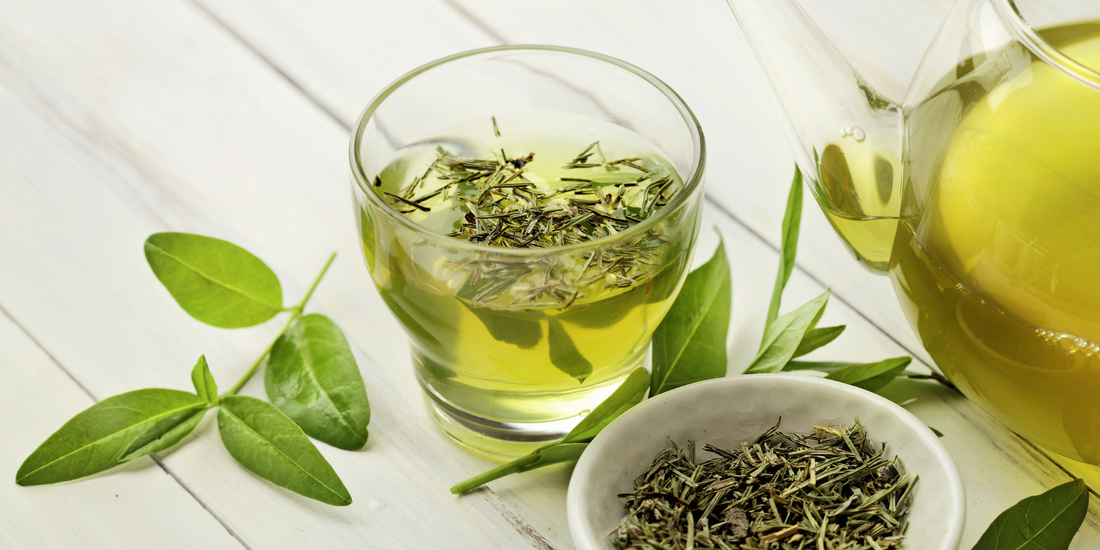 Green Tea Zinger green tea scented candle with fresh floral fragrance