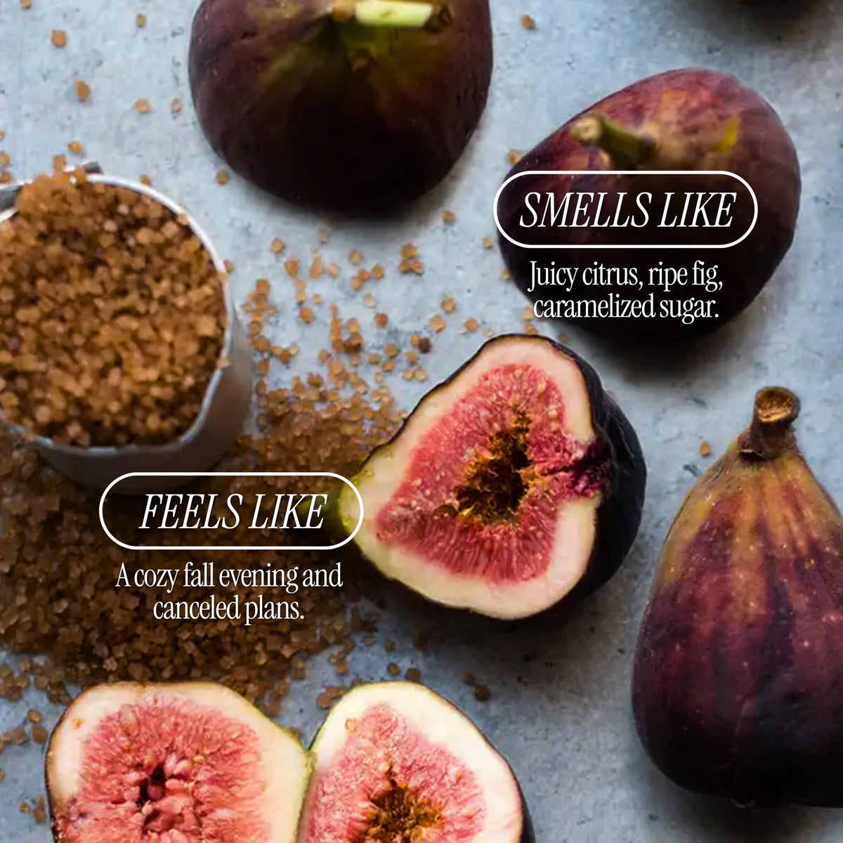 Orange + Fig
