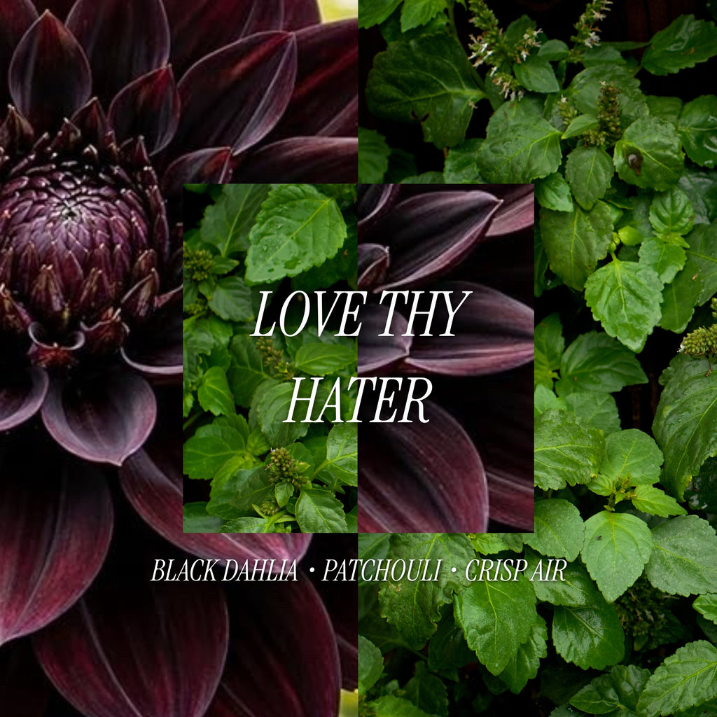 Love Thy Hater