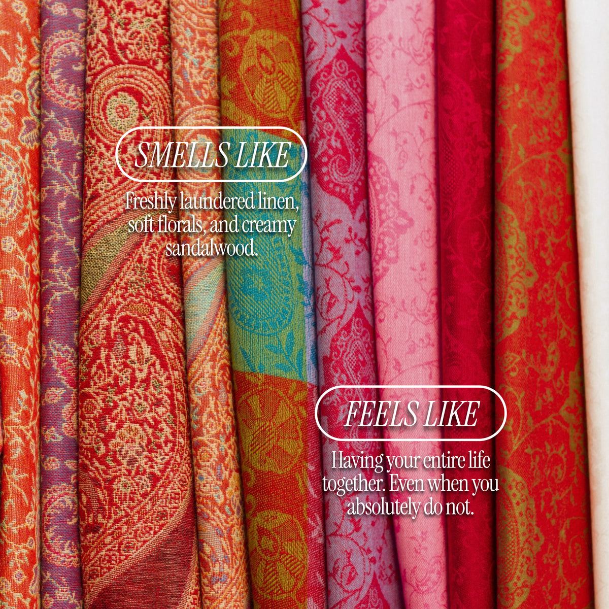 Kashmiri Pashmina