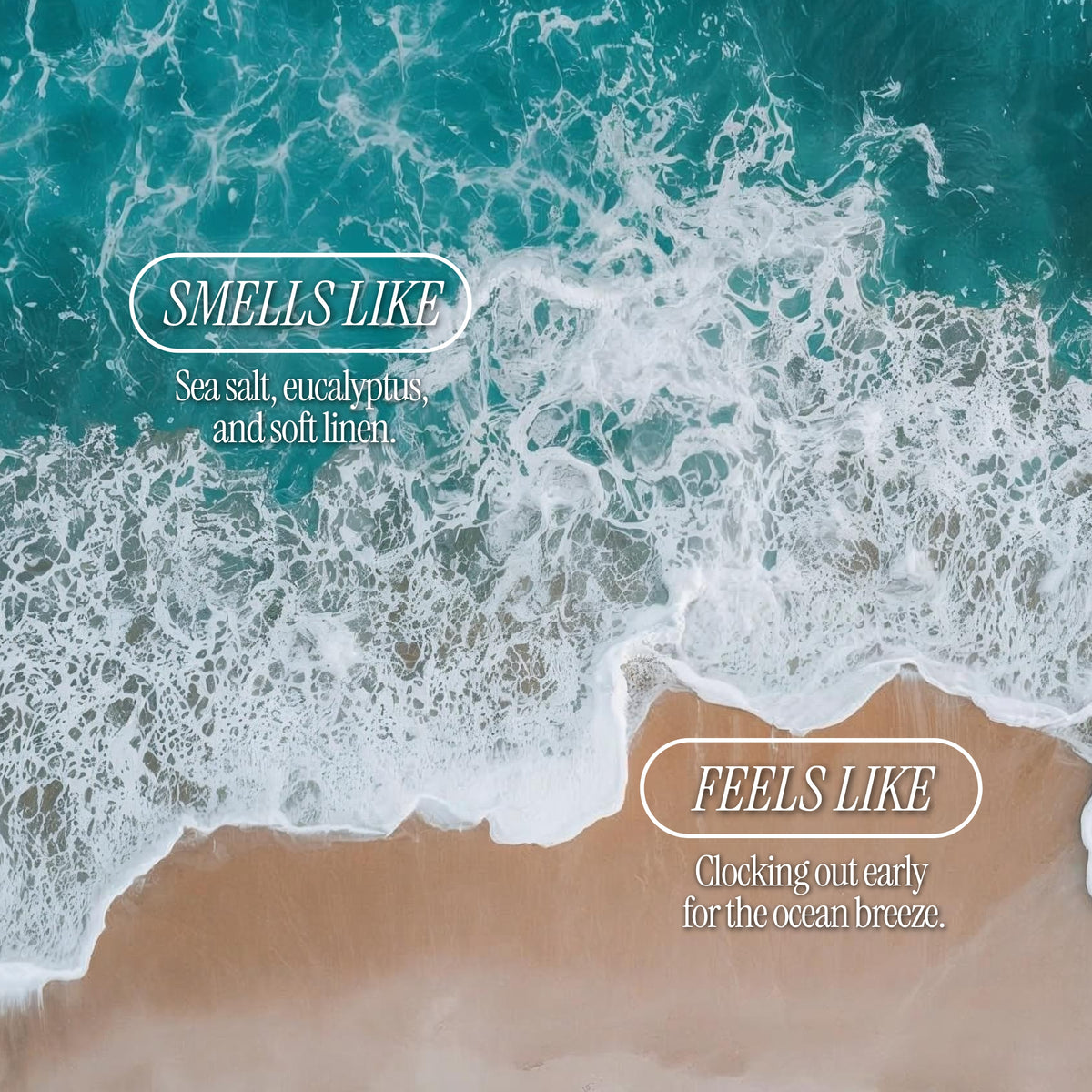 Sea You Next Tuesday