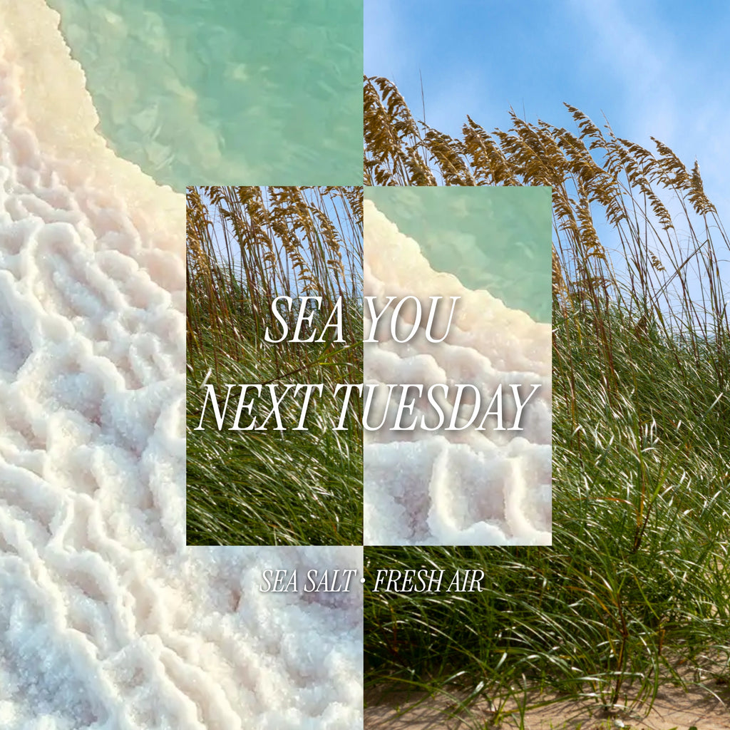 Sea You Next Tuesday