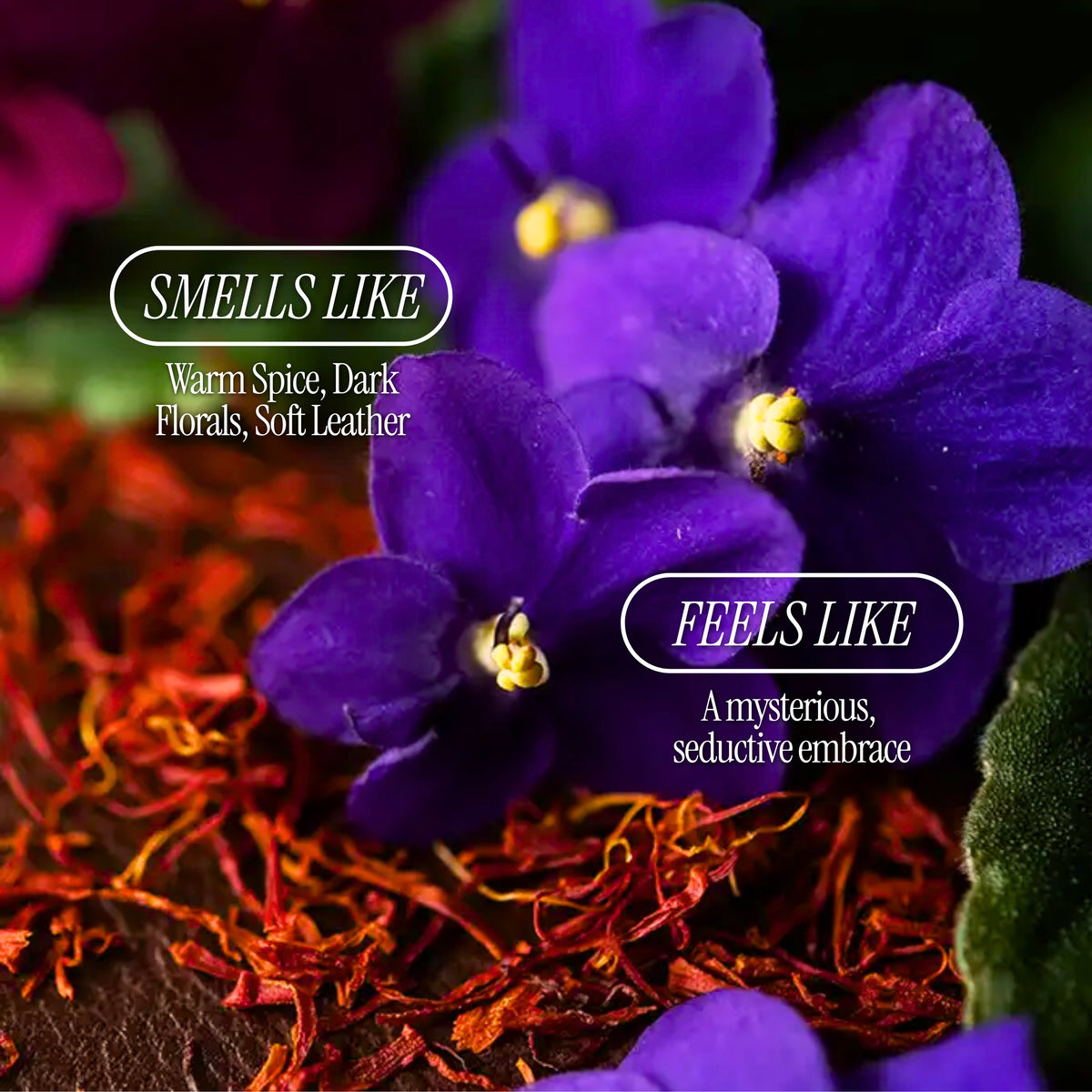 Saffron Veil